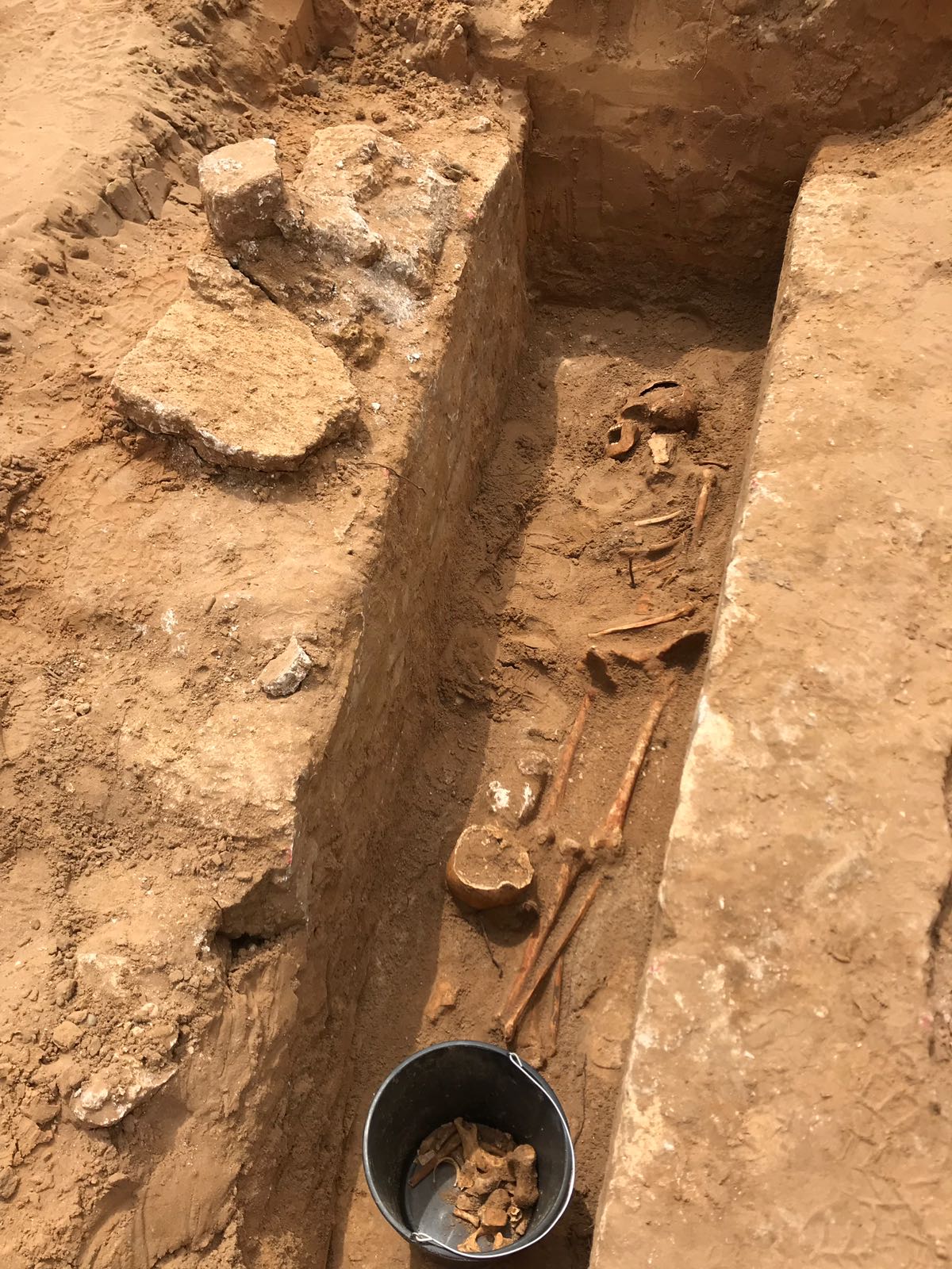 WhatsApp Image 2020-06-17 at 9.30.48 AM (2).jpeg.jpeg